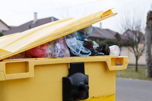 Best Same-Day Junk Removal Services  in Enon, OH
